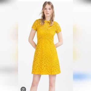 Zara Yellow Lace Mini Dress